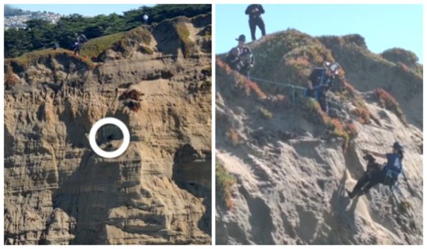 Momentul în care un câine este salvat după ce a căzut de la înălțime și a rămas blocat pe o stâncă abruptă | VIDEO