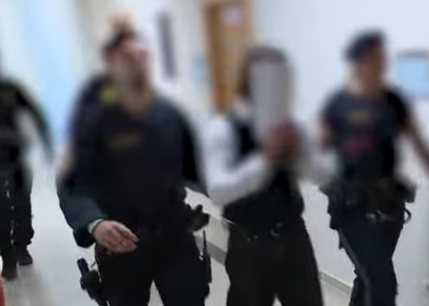 Elev român acuzat că a participat la abuz în grup, la sechestrarea și la incendierea casei profesoarei lui, la Viena. Ce pedeapsă riscă cei care au transformat-o pe femeie în „sclava lor”