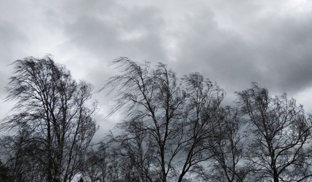 Cod galben de vânt puternic cu rafale de până la 120 km/h, joi și vineri. Alertă meteo în mai bine de jumătate de țară