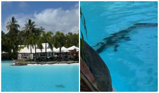 Crocodil surprins în piscina unui hotel de cinci stele din Australia | VIDEO