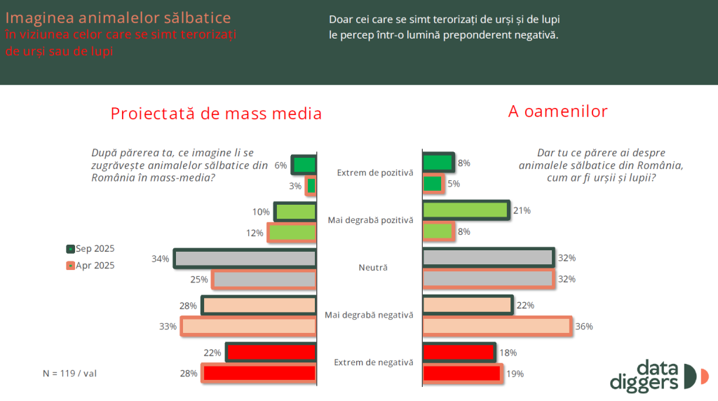 Studiu: Cum să conviețuim cu animalele sălbatice. Ce spun românii despre interacțiunea cu urșii 