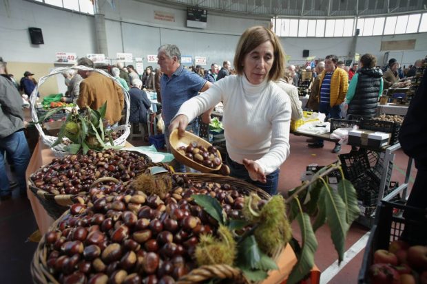 Castanele românești de Tismana nu s-au mai făcut, din cauza secetei. Fructele din import n-au gust și sunt scumpe: „dar ne facem pofta”