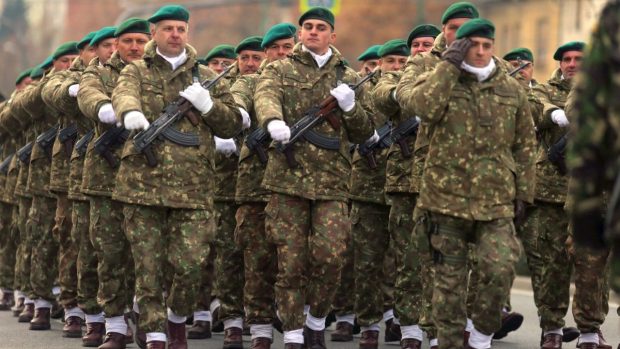 Introducerea serviciului militar voluntar pe timp de pace, votată în Camera Deputaților. Câți bani vor primi soldații care fac armata 4 luni