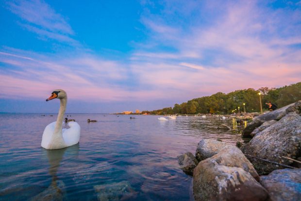 Lacul Balaton poate seca de tot până în 2050, avertizează experții. Nivelul apei din „Marea Ungariei” a atins un minim istoric