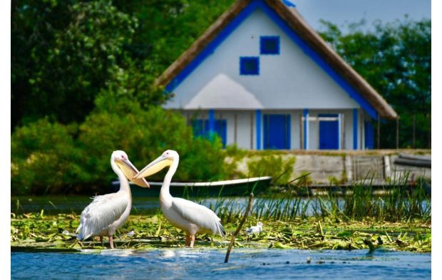 Cazare în Delta Dunării la Pensiunea Obretin