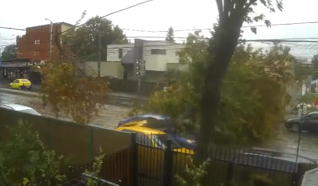 Momentul în care un copac este doborât de vânt pe o mașină aflată în mers, în București