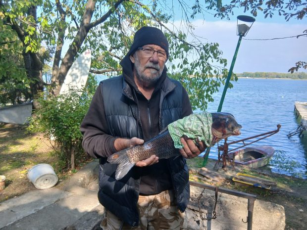 Pește mutant, prins în Dunăre, aproape de Calafat: „Nu am mai văzut așa ceva”