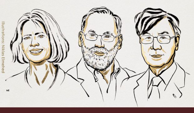 Doi americani și un japonez au primit azi Premiul Nobel pentru Medicină și Fiziologie. Ce descoperiri revoluționare au făcut