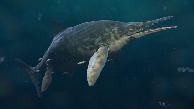 Creatură marină „stranie” descoperită în Marea Britanie ar putea dezlega un mister vechi de 184 de milioane de ani