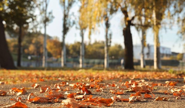 Vremea se încălzește câteva zile, apoi răcire. Prognoza meteo în intervalul 27 octombrie – 9 noiembrie 2025
