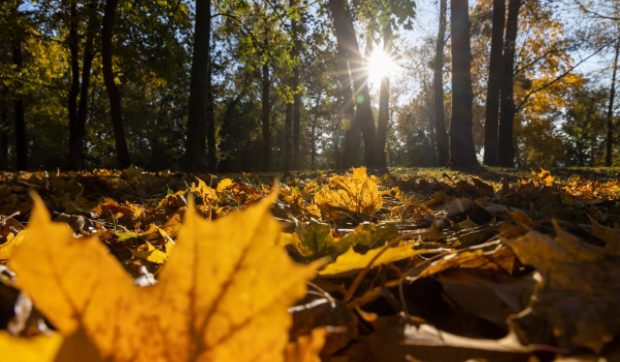 Când se încălzește vremea. ANM a actualizat prognoza meteo pentru următoarele 4 săptămâni
