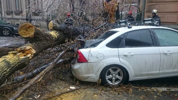 Proprietarii mașinilor din sectorul 2 avariate de copaci şi blocuri de gheaţă vor fi despăgubiți