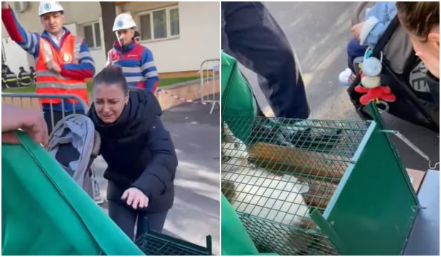 Momentul emoționant în care o stăpână îl revede pe motanul Thomas, salvat din blocul din Rahova afectat de explozie | VIDEO