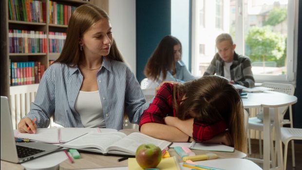 Singurul om care apără programa de Limba și literatura română propusă de Ministerul Educației: „Nu se pot face experimente de creativitate”