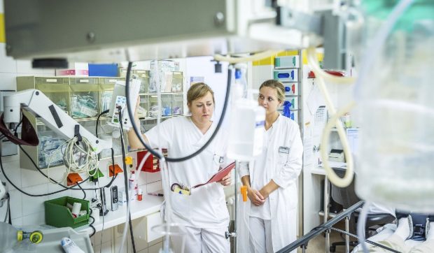 Germania renunță la forța de muncă din România. A fost cucerită de o altă țară: „Leul care se trezește”