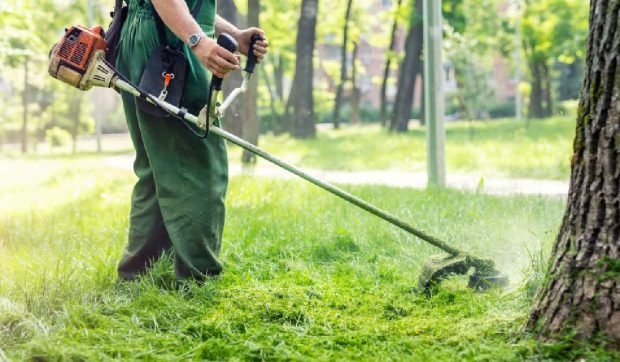 Un angajat municipal din Germania a descoperit opt lingouri de aur în timp ce tundea iarba. Mister în ceea ce privește proprietarul