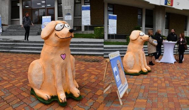 Internauții despre Bobiță, mascota CJ Argeș, care ar trebui să promoveze sterilizare animalelor: „O încercare de a ascunde gunoiul sub preş”