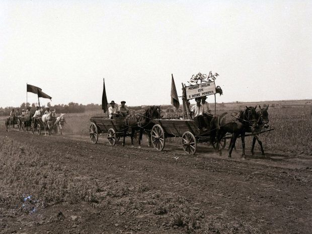 Falimentul agriculturii comuniste. Cum a ajuns un CAP din Dolj să erbicideze grâul cu celebra substanță otrăvitoare „verde de Paris”