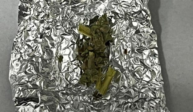 Val de ironii după o captură cu care Jandarmeria Constanța s-a lăudat pe Facebook: „În port e coruptă și yala și voi umblați după zarzavaturi”