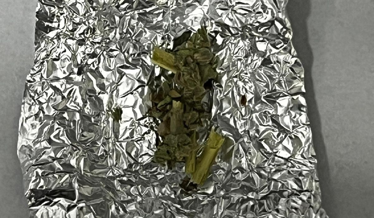 „Corupția a ajuns și în port: ce se întâmplă cu yala?” „Corupția a ajuns și în port: ce se întâmplă cu yala?”