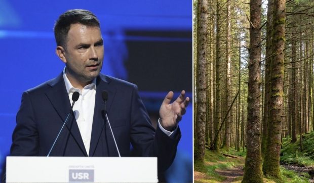 Cătălin Drulă vrea să planteze un milion de copaci în București, în următorii cinci ani