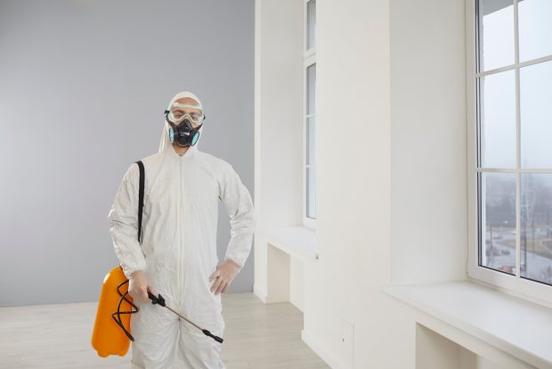 Dezinsecția preventivă în blocuri și locuințe – cea mai bună soluție pentru a evita infestarea cu gândaci
