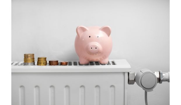 Factura la încălzire în 2025: cât costă peleții și ce spun specialiștii