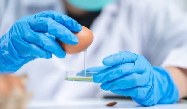 Unde va fi construită a doua fabrică de ouă lichide din România, cu 10 tone de produs finit zilnic