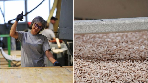 O fabrică din România a intrat în Cartea Recordurilor. Ce a făcut compania din Comănești, care are 800 de angajați