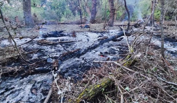 Dronă prăbușită în România, în zona Grindu, după atacurile Rusiei asupra porturilor ucrainene