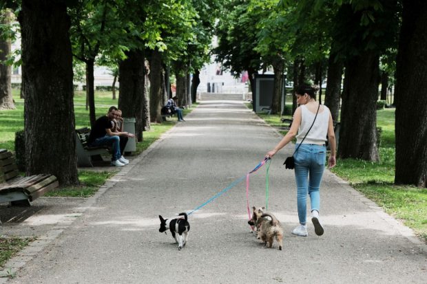 Un gigant din industria avicolă din România investește o sumă record într-o fabrică pentru blănoși: „Putem hrăni anual peste 11 milioane de câini și pisici!”