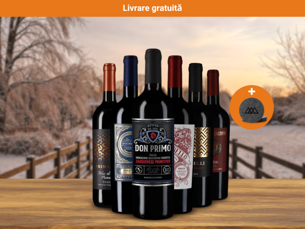 Cooperare exclusivă: șase sticle excelente de Primitivo + suporturi elegante din pâslă – acum la preț promoțional