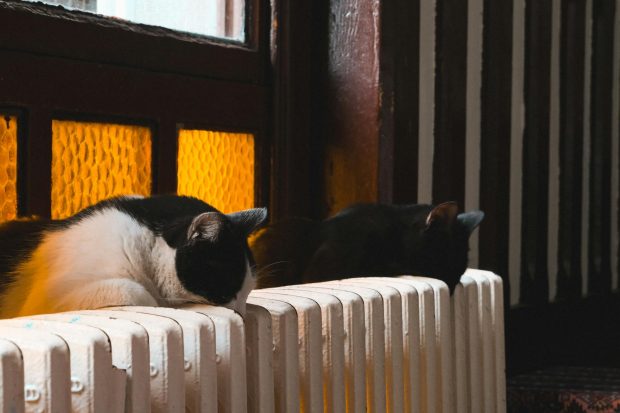 Încălzire eficientă și controlată pentru confortul de zi cu zi