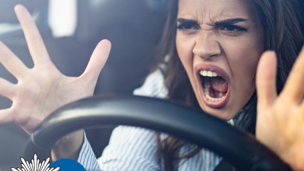 Mamă beată și fără permis oprită de poliție cu 7 copii în mașină, dintre care unul era în portbagaj, în Germania: „Nici nu a putut sufla în etilotest”
