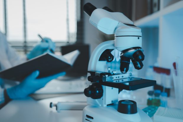 Oamenii de știință au creat primul model funcțional de măduvă osoasă umană capabil să producă sânge în laborator