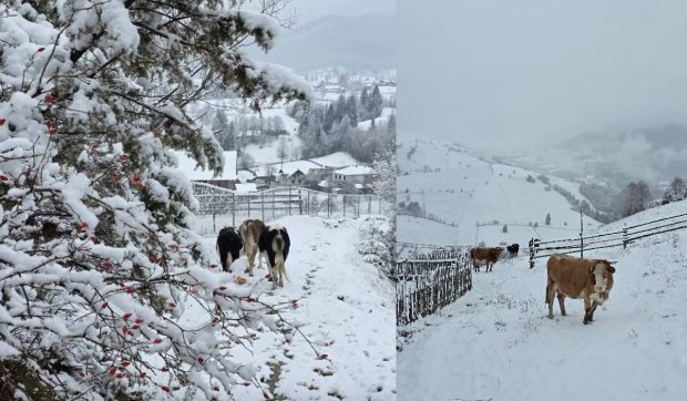 Zona din România unde ninge slab: „Circulaţi cu atenţie”