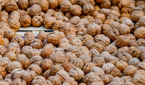 Fructul din România care a devenit foarte rar și s-a scumpit până la 50 de lei kilogramul