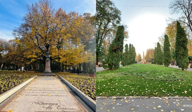 La Iași se face profit din ce alții ar arunca. Metoda care transformă deșeurile în bani