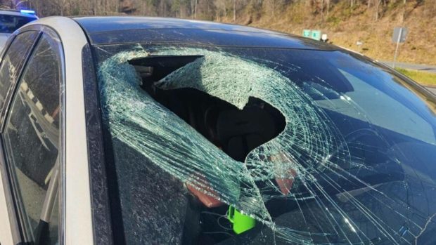 O pisică moartă a căzut „din cer” prin parbrizul unei mașini. Șoferița a sunat la urgențe: „Bine, s-ar putea să nu mă credeți”