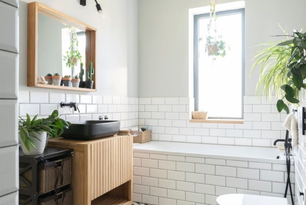 Cele mai bune plante pentru baie – absorb umiditatea