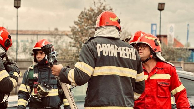 15 câini, salvați de pompierii din Ploieşti, dintr-un incendiu al unei locuințe din oraș