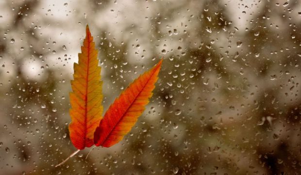 Cum va fi vremea în perioada 3 – 16 noiembrie 2025. Meteorologii ANM au emis prognoza meteo pe două săptămâni