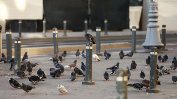 Cum va fi vremea în perioada 10 noiembrie – 8 decembrie 2025. ANM anunță temperaturi neobișnuite pentru începutul iernii