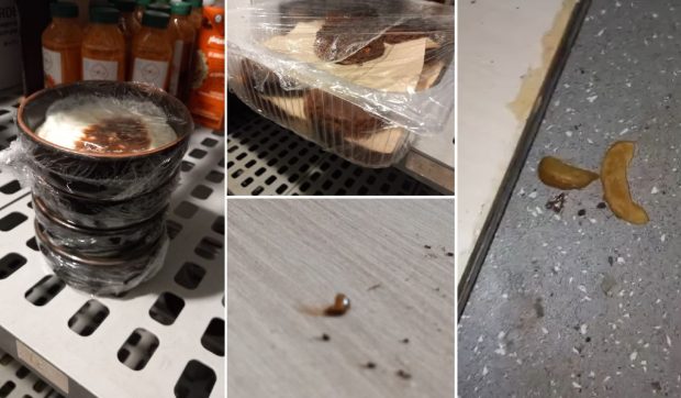 Gândaci, muște și mizerie în două restaurante cunoscute din Constanța. Protecția Consumatorului a dat amenzi și le-a închis