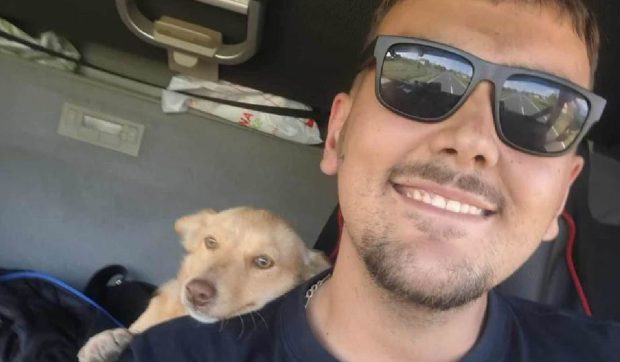 Un șofer de camion a văzut un câine vagabond pe drum și s-a oprit să-l mângâie: „Mi s-a frânt inima”