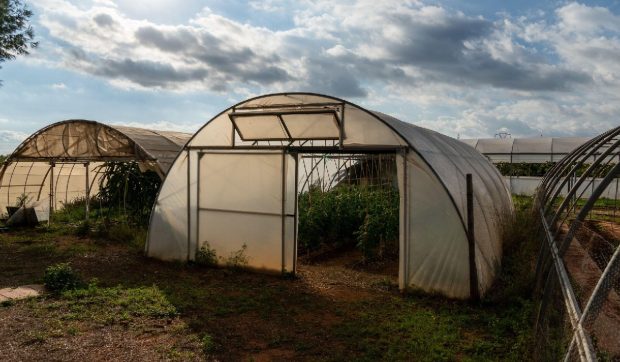 Fermierii vor trebui să plătească impozit și pe solarele de legume