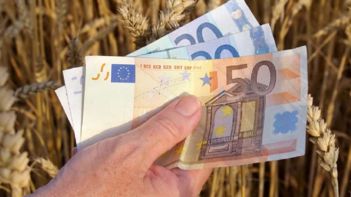 Poza pentru articolul Suprafața minimă de teren agricol pentru care APIA plătește subvenții în 2026