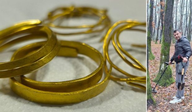 Bijuterii vechi de peste 3.000 de ani, găsite într-o pădure de un tânăr din Târgu Jiu