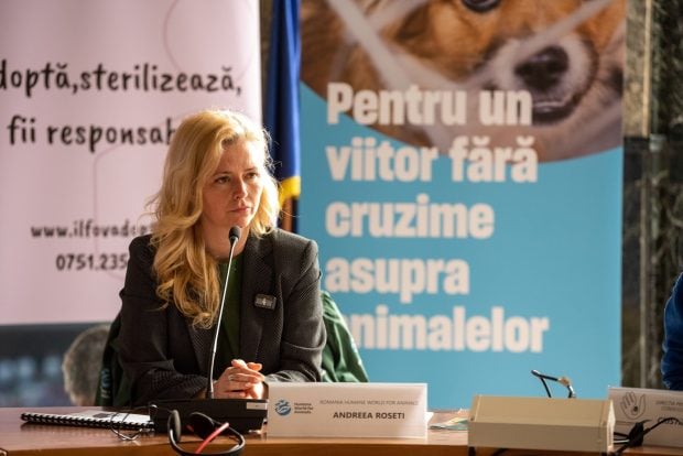 Studiu: Bunăstarea animalelor se vede în farfuria noastră: ouă mai gustoase și mai sănătoase de la găini crescute liber