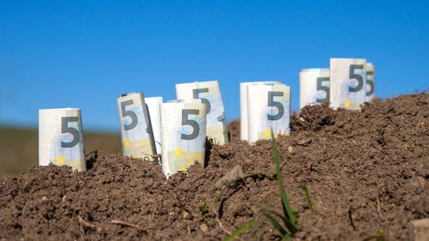 Cel mai scump teren agricol se vinde cu peste 200.000 de euro/ha în cea mai mică țară din UE